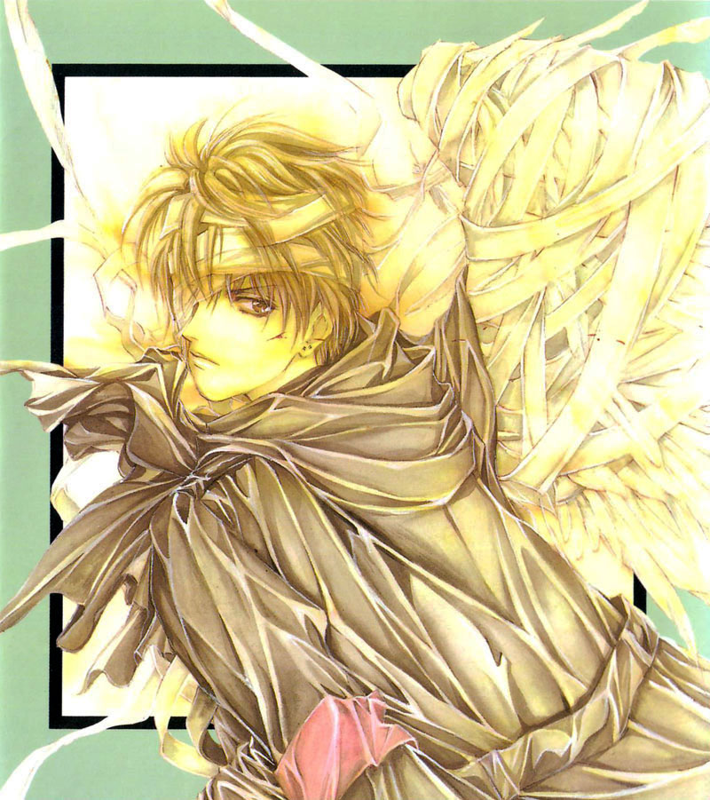 Angel Sanctuary Manga Volume Download
